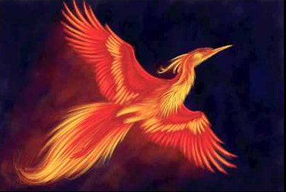 Oiseau de feu